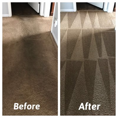 Carpet Cleaners Goleta